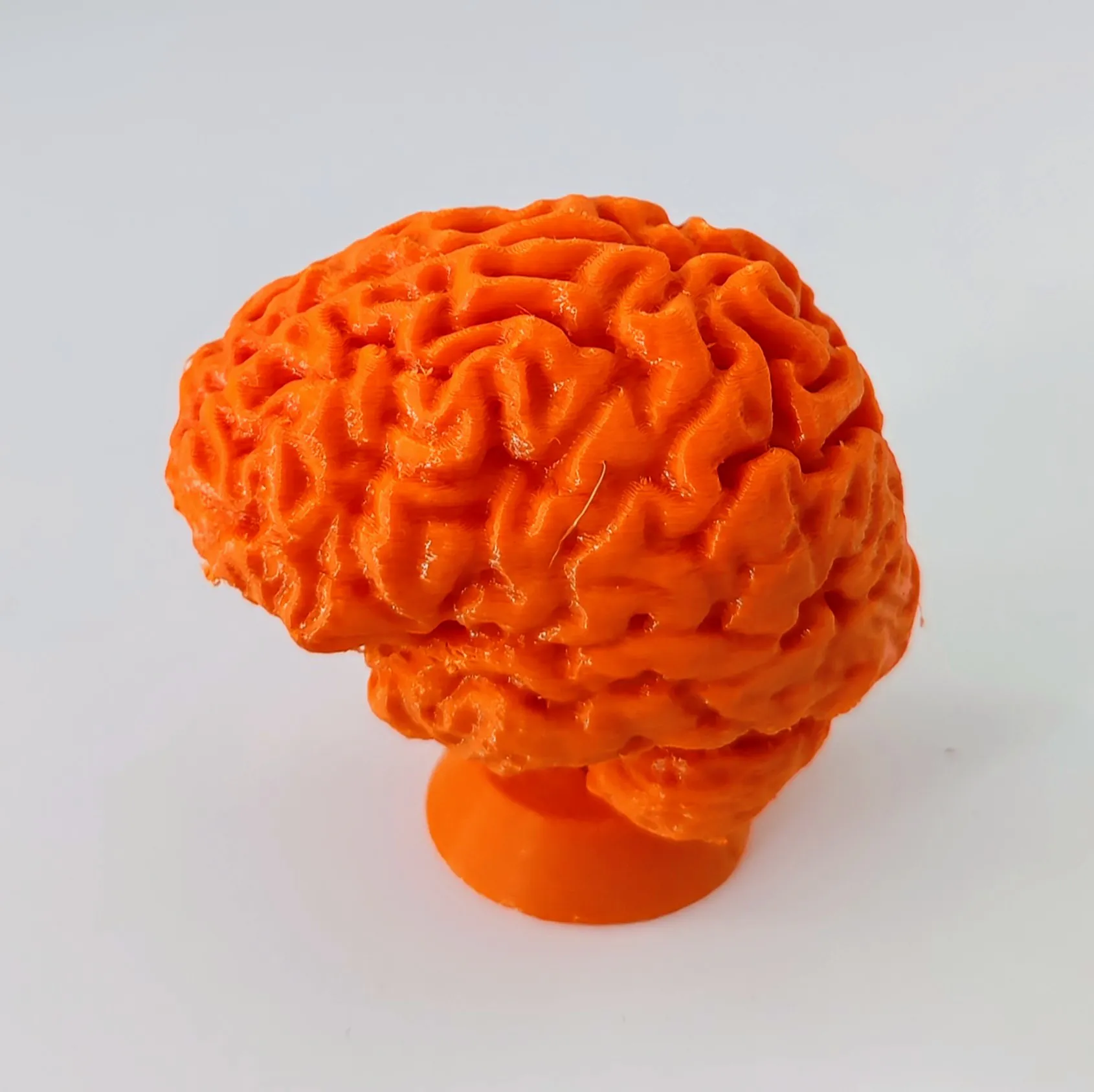 Hlava je plná zákoutí